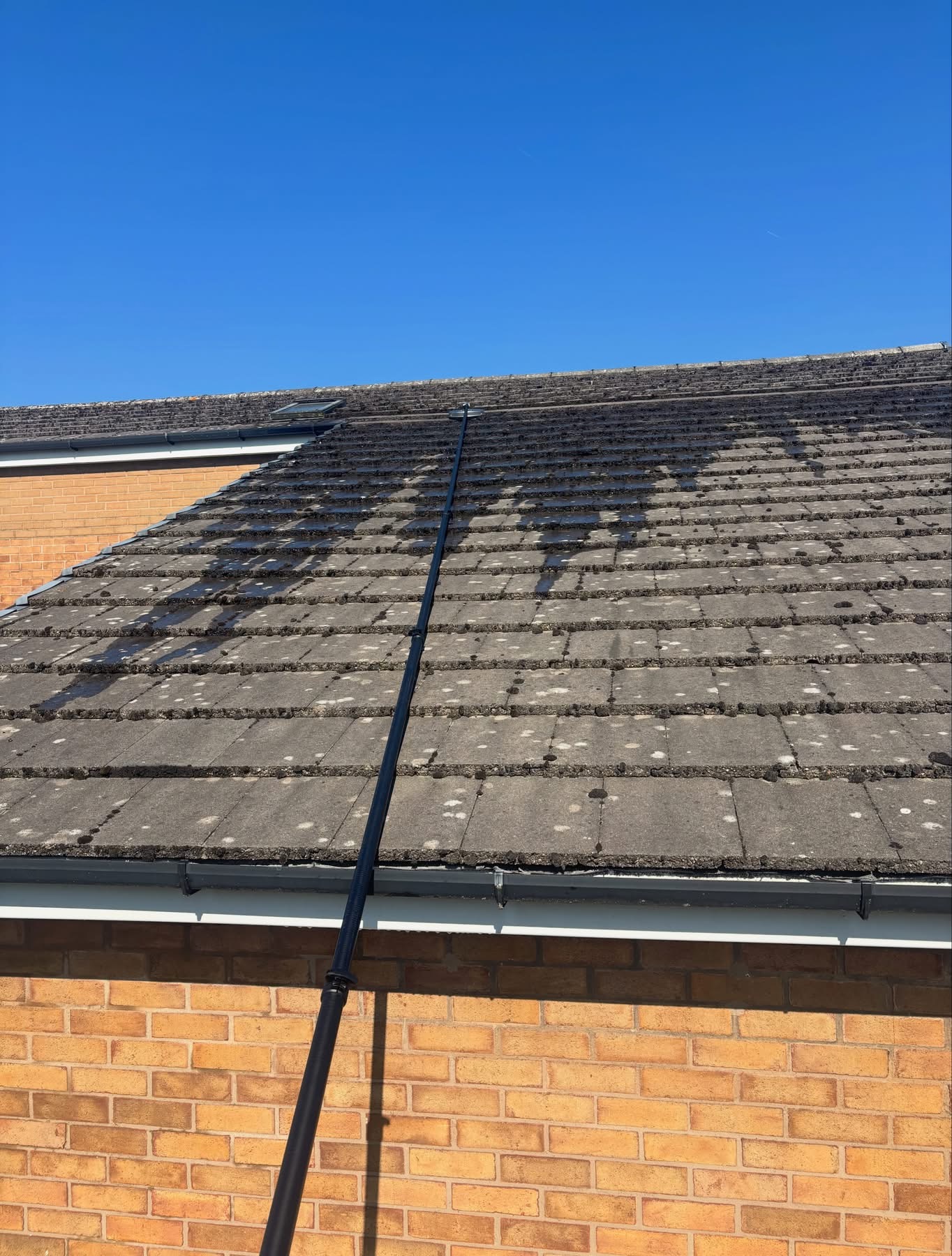 Real Hydrux roof cleaning result